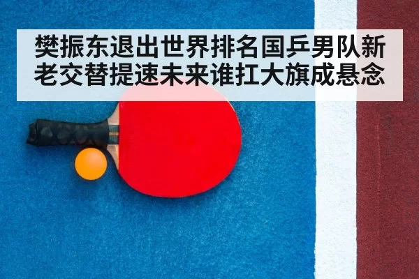 table tennis racket